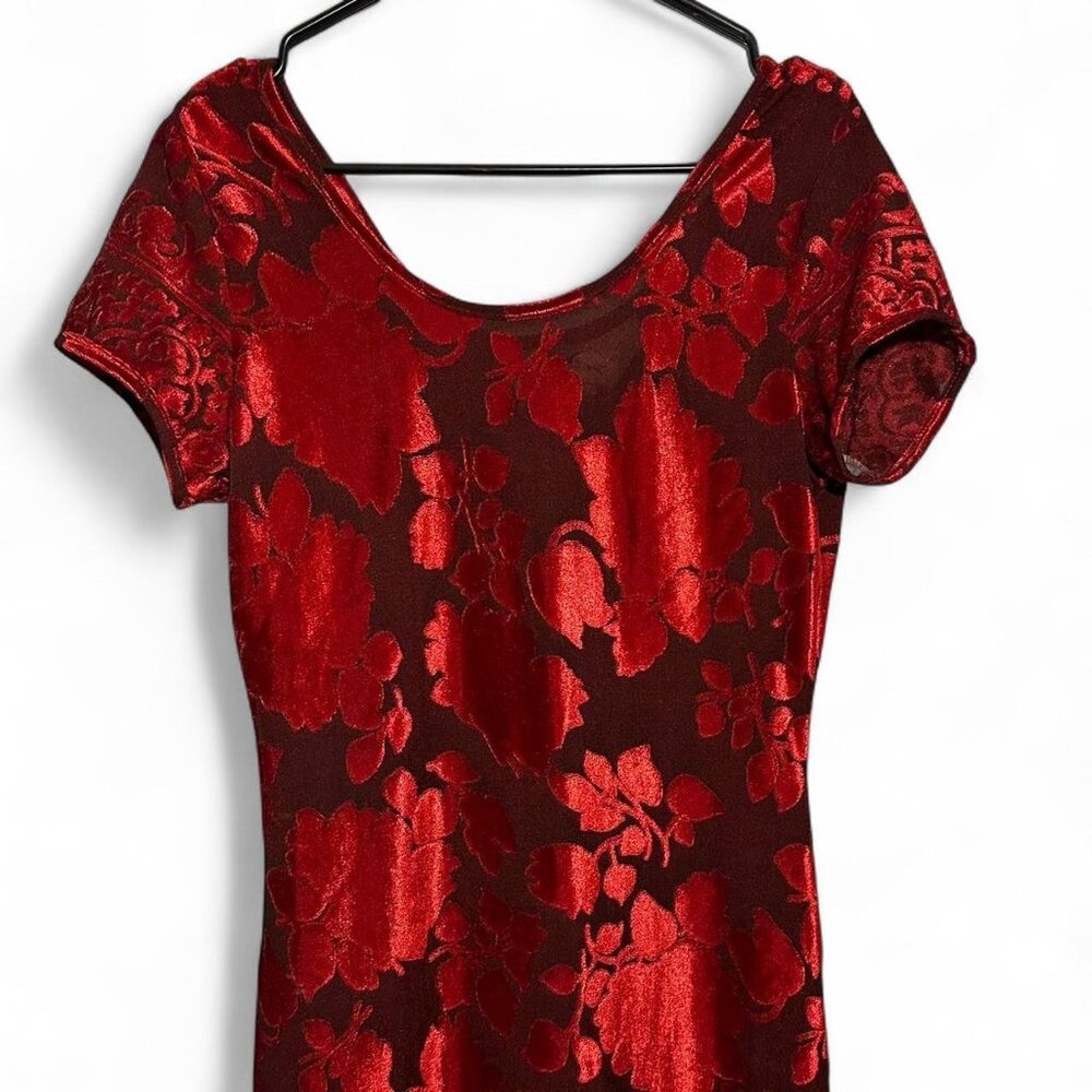 C. W. Rose Vintage Velvet Floral Maxi Dress - Picture 3 of 6